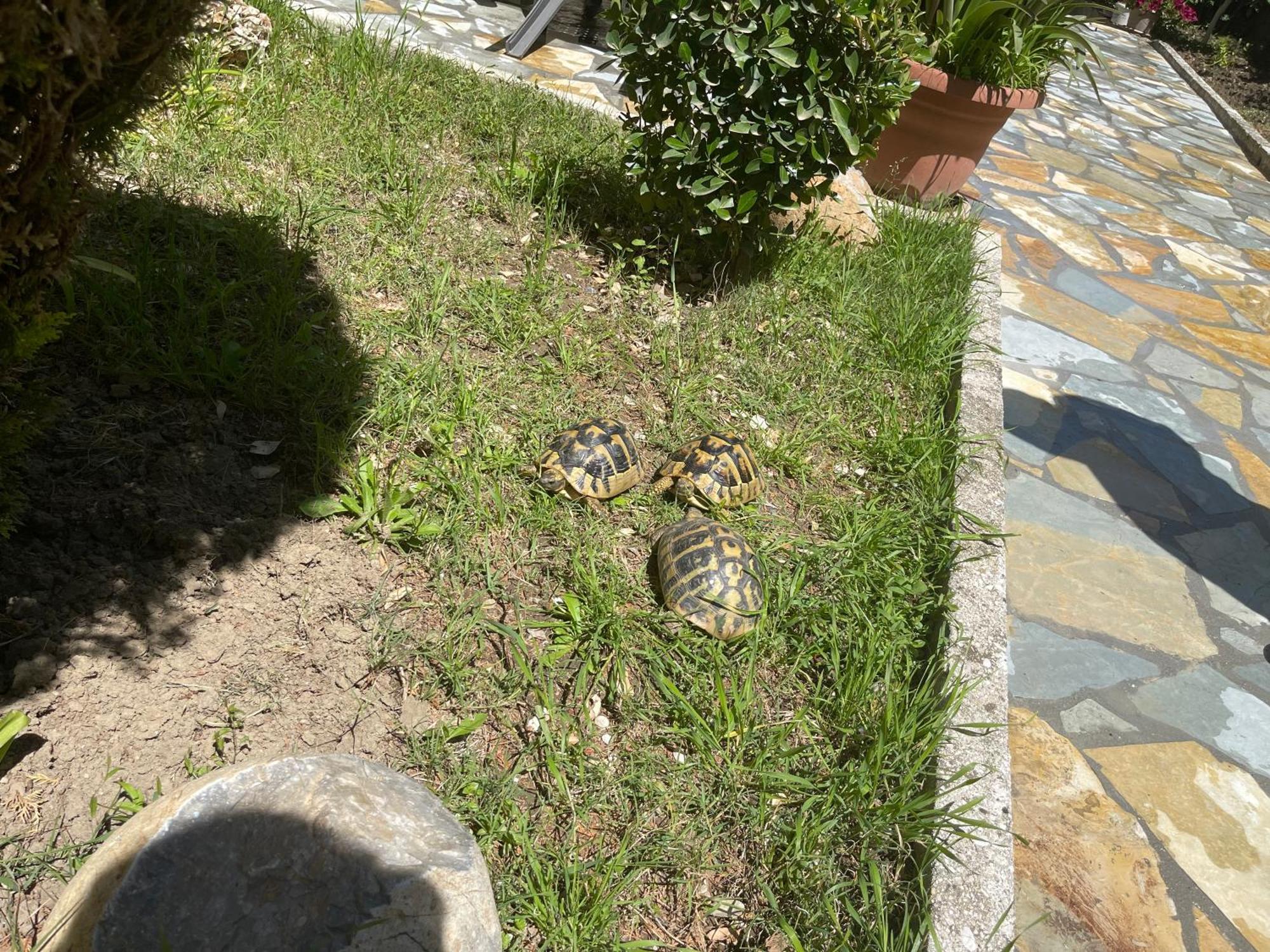 Artur'S Apartment Gjirokastër Екстериор снимка